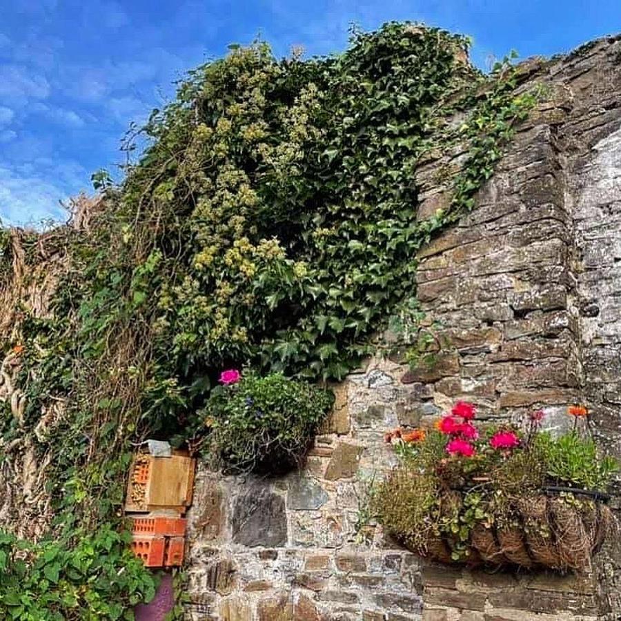 Lotte'S Cottage Bideford Extérieur photo